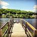 Children peer throughout the railing of a dock. (ryanclarkdoyle)
